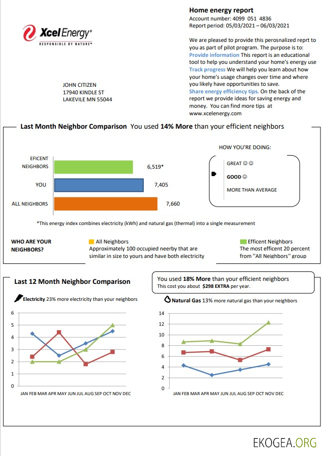 USA Minnesota Xcel Energy utility bill template in Word and PDF format (.doc and .pdf)